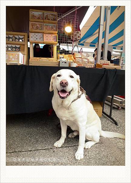 Darumaruko_event_120421_13