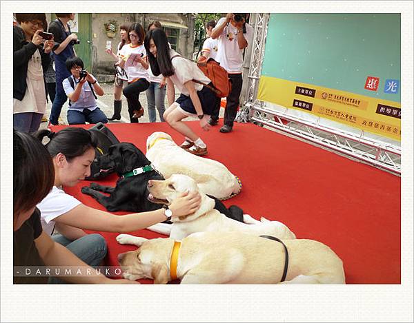 Darumaruko_event_120421_13