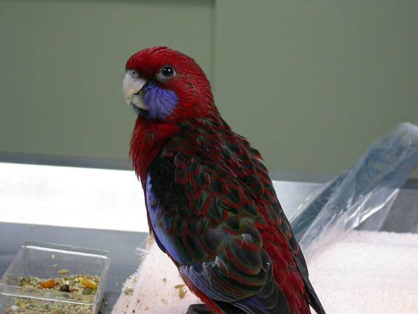 DSCN2433.JPG DSCN2433.JPG