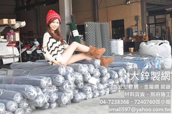 防蟲網,不銹鋼防蟲網,pvc 防蟲網,大鋅製網