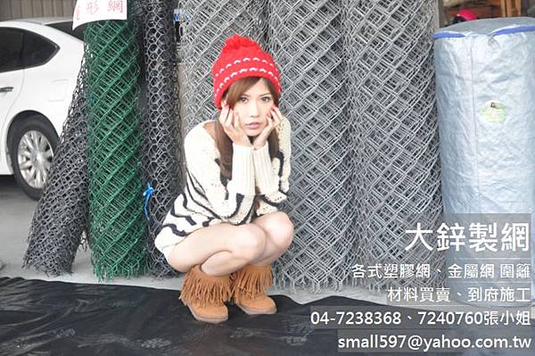 鍍鋅菱形網,鍍鋅菱形網規格,菱形網單價,大.鋅製網