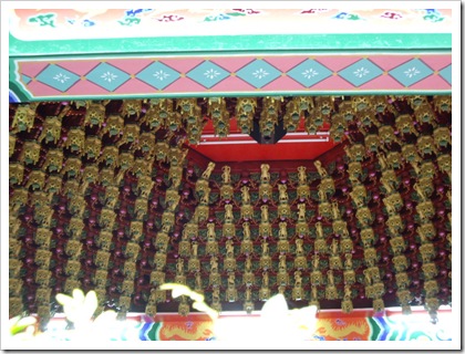 IMGP8002