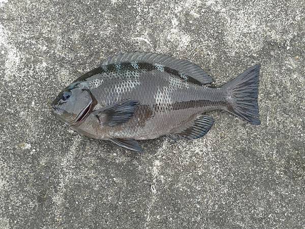 20120211_145452 20120211_145452