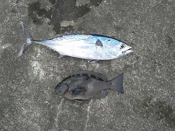 20120211_145511 20120211_145511