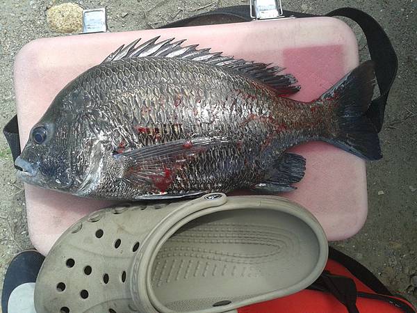 20120303_132948 20120303_132948