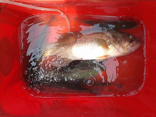 IMG_20120812_133240 IMG_20120812_133240