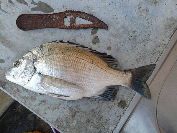 IMG_20121011_164541 IMG_20121011_164541