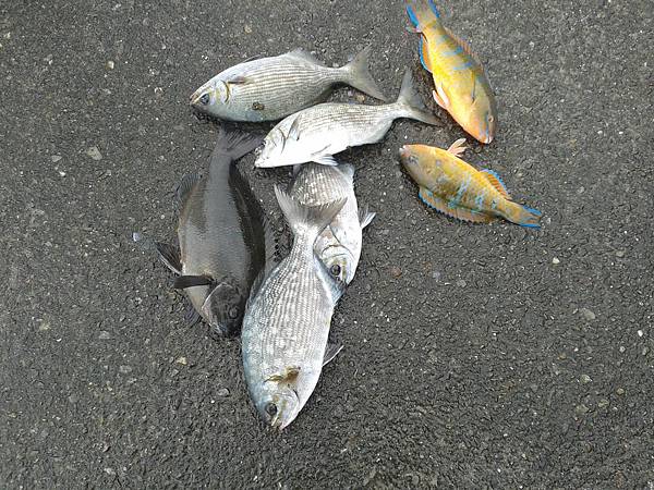 20130127_110421 20130127_110421