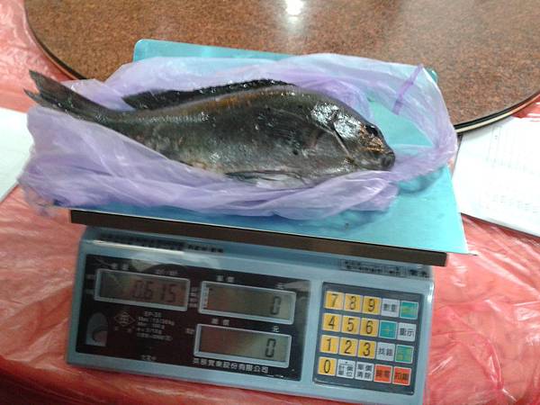 20130127_150929 20130127_150929