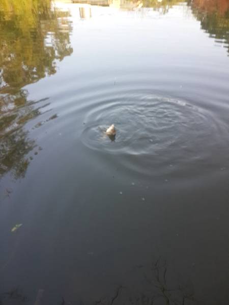 2014-01-11 16.14.19 2014-01-11 16.14.19