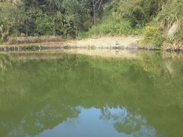 2014-01-25 09.18.39 2014-01-25 09.18.39