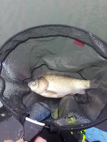 2014-02-04 09.11.11 2014-02-04 09.11.11