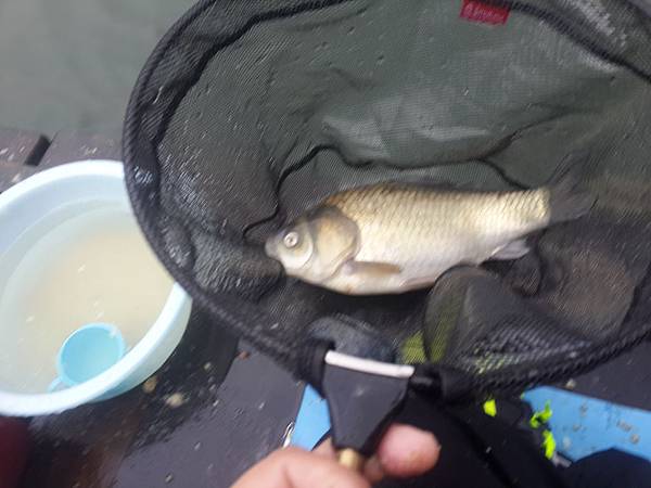 2014-02-04 09.11.16 2014-02-04 09.11.16