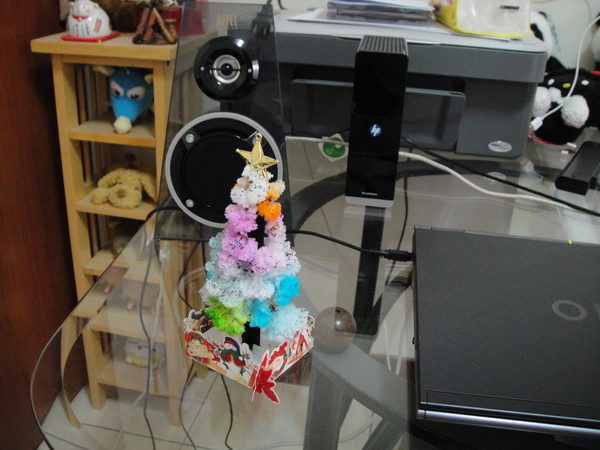 DSC01271.JPG DSC01271.JPG