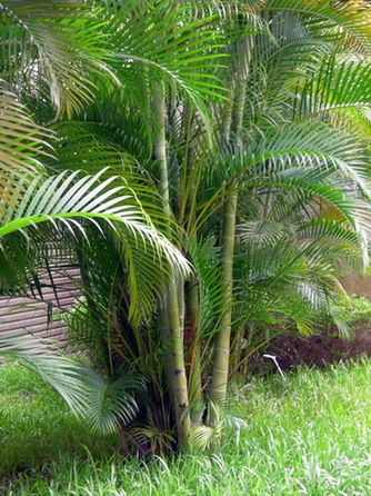 DSCN0005.jpg DSCN0005.jpg