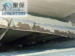 東保除蟲公司消滅白蟻新知 東保除蟲公司消滅白蟻新知