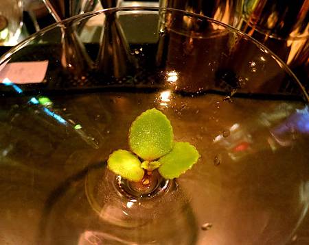 20121002-32 20121002-32