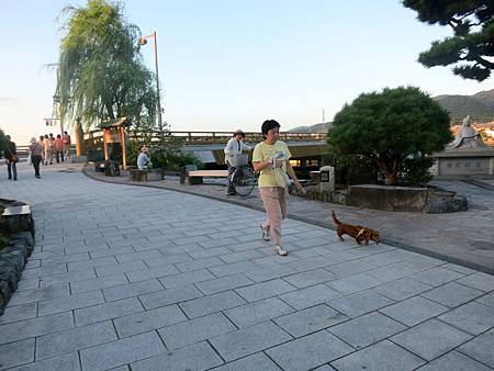 20130924-121 20130924-121