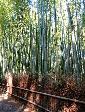 20130926-067 20130926-067