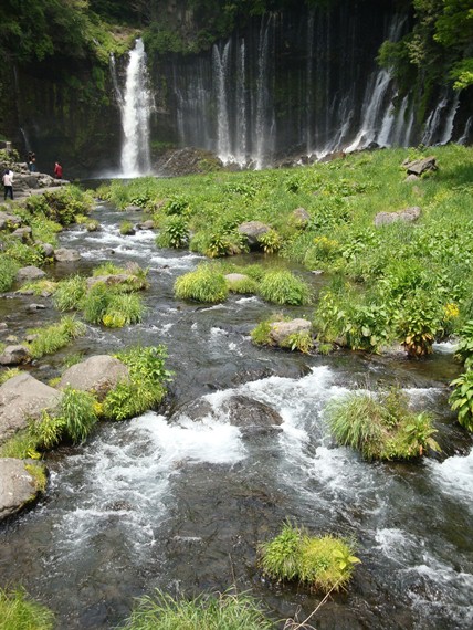 20110505 002.jpg 20110505 002.jpg