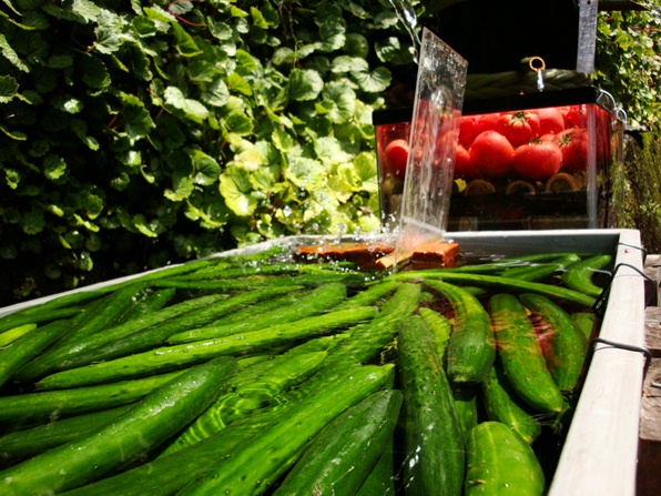 20110505 004.jpg 20110505 004.jpg