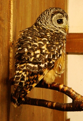 20110505 006.jpg 20110505 006.jpg