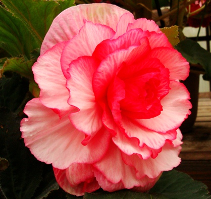 20110505 014.jpg 20110505 014.jpg