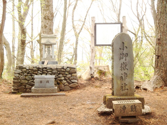 20110505 029.jpg 20110505 029.jpg