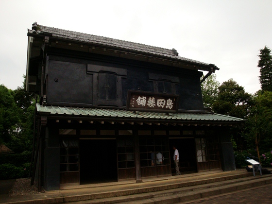 20110618 001.jpg 20110618 001.jpg