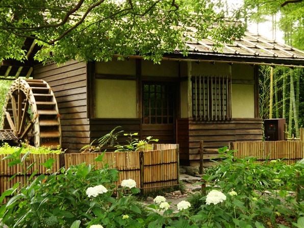 20110618 003.jpg 20110618 003.jpg