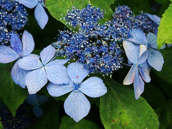 20110618 008.jpg 20110618 008.jpg