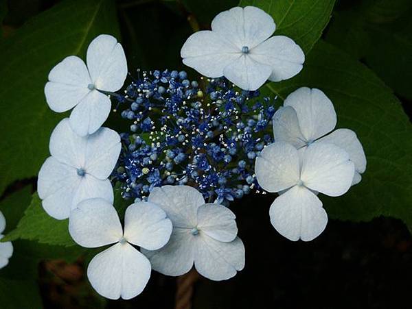 20110618 012.jpg 20110618 012.jpg