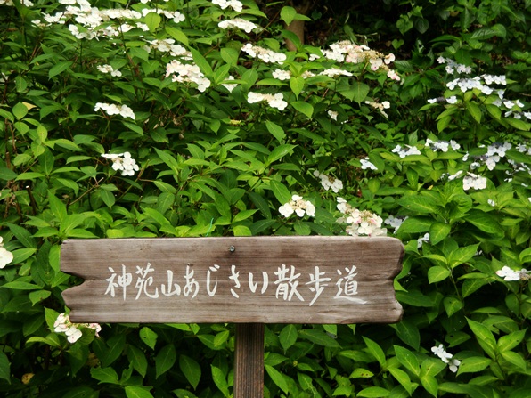 20110702 100.jpg 20110702 100.jpg