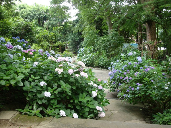 20110702 101.jpg 20110702 101.jpg