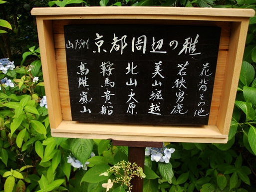 20110702 103.jpg 20110702 103.jpg