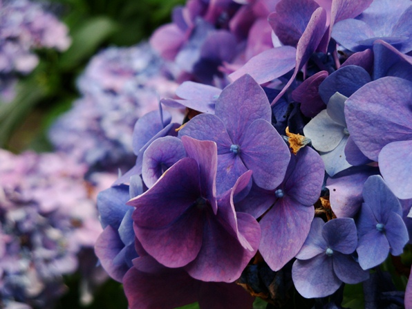 20110702 107.jpg 20110702 107.jpg
