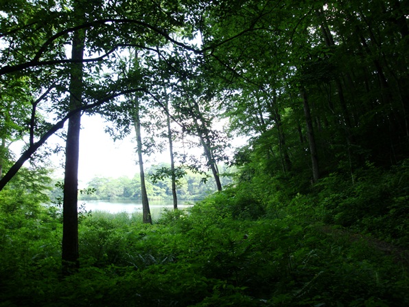 20110716 012.jpg 20110716 012.jpg
