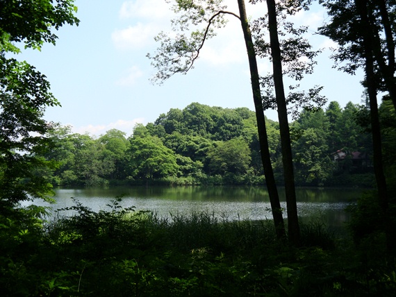20110716 013.jpg 20110716 013.jpg