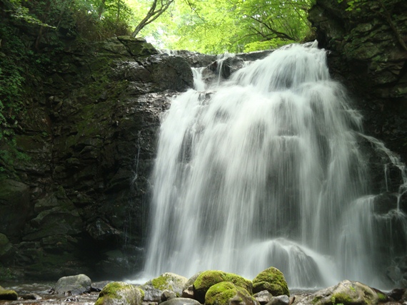 20110716 015.jpg 20110716 015.jpg