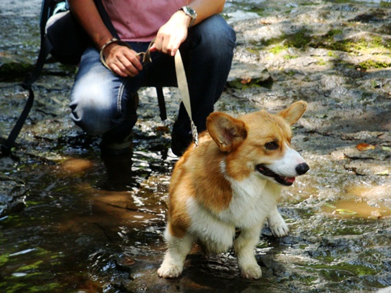 20110716 017.jpg 20110716 017.jpg
