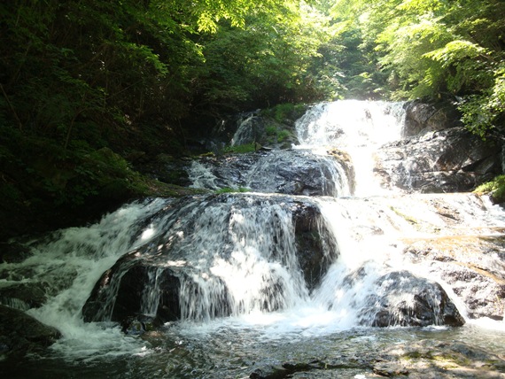 20110716 018.jpg 20110716 018.jpg