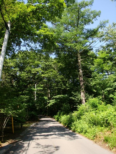 20110717 001.jpg 20110717 001.jpg