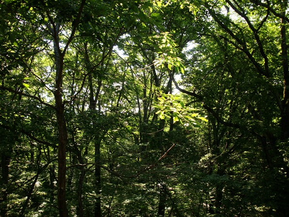 20110717 002.jpg 20110717 002.jpg