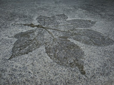 20110717 004.jpg 20110717 004.jpg