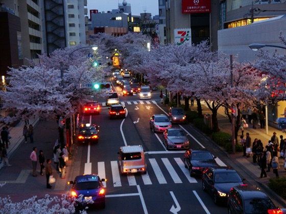 20110410 013.jpg 20110410 013.jpg