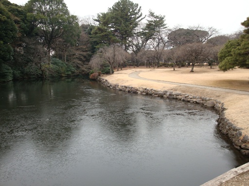 20110115 001.JPG 20110115 001.JPG