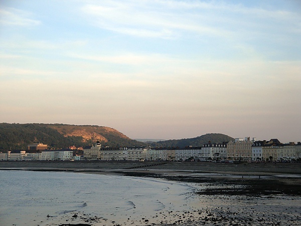 20100815 013.JPG 20100815 013.JPG