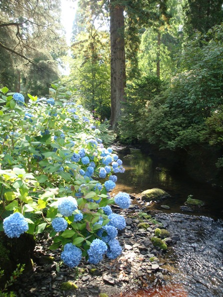 20100816 010.JPG 20100816 010.JPG