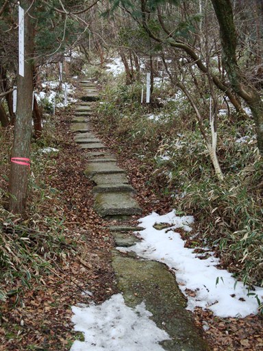 20110205108.jpg 20110205108.jpg
