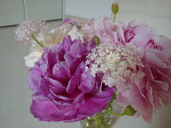 20100724 04.JPG 20100724 04.JPG